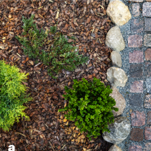 mulch-stone-grass-make-the-right-bedding-choice