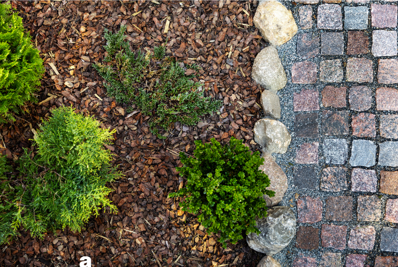 mulch-stone-grass-make-the-right-bedding-choice