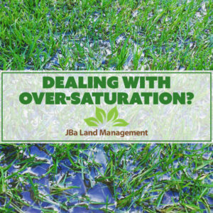 Over-saturated lawn turf after heavy rain